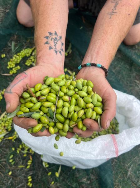 fac07b1a-c685-4756-a31d-a0e3fb83d217